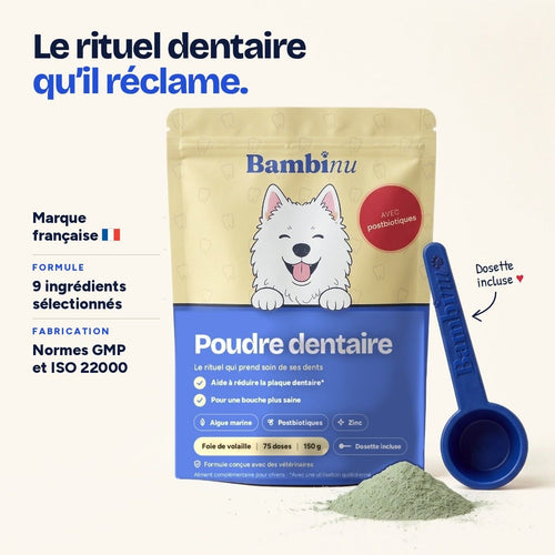 Poudre dentaire pour chien Bambinu – sachet