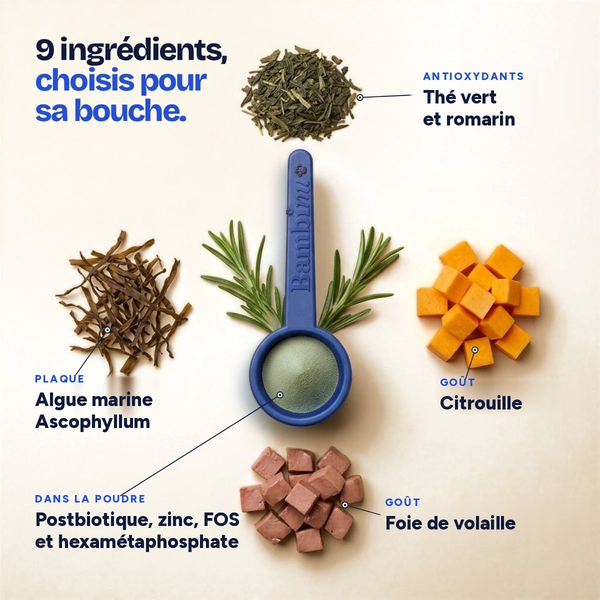 Ingrédients de la poudre dentaire Bambinu